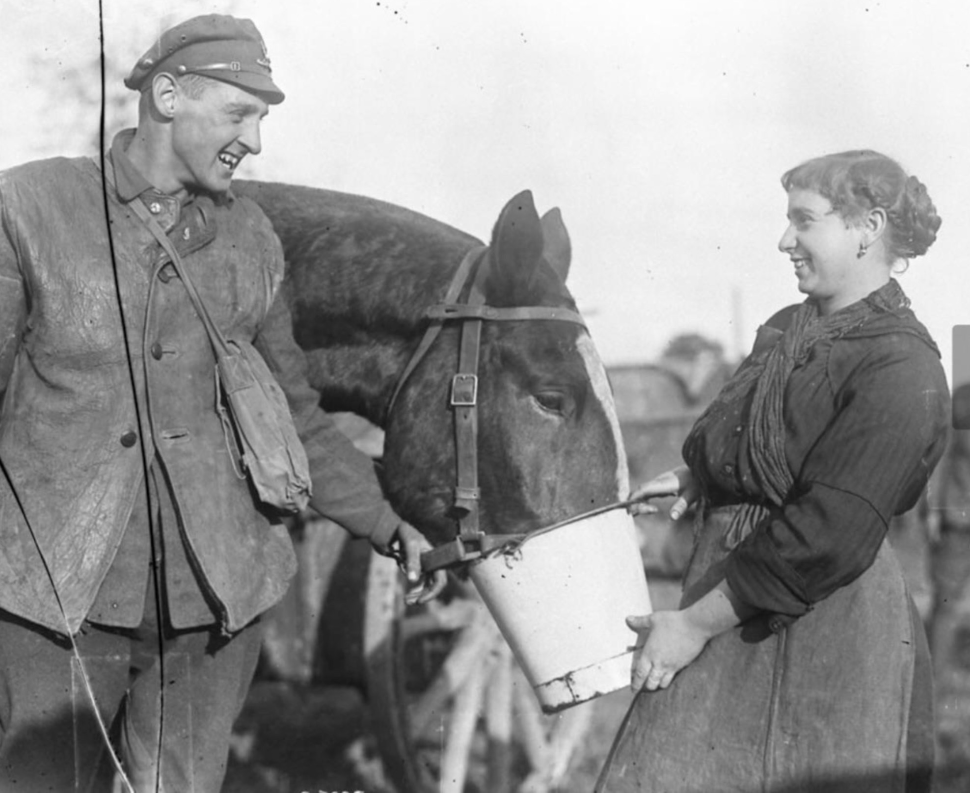 A Belgian girl holding a bucket up to a Canadian artillery horse, Belgium November 1918